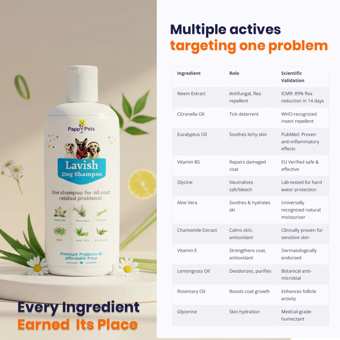 LAVISH Dog Shampoo image 5